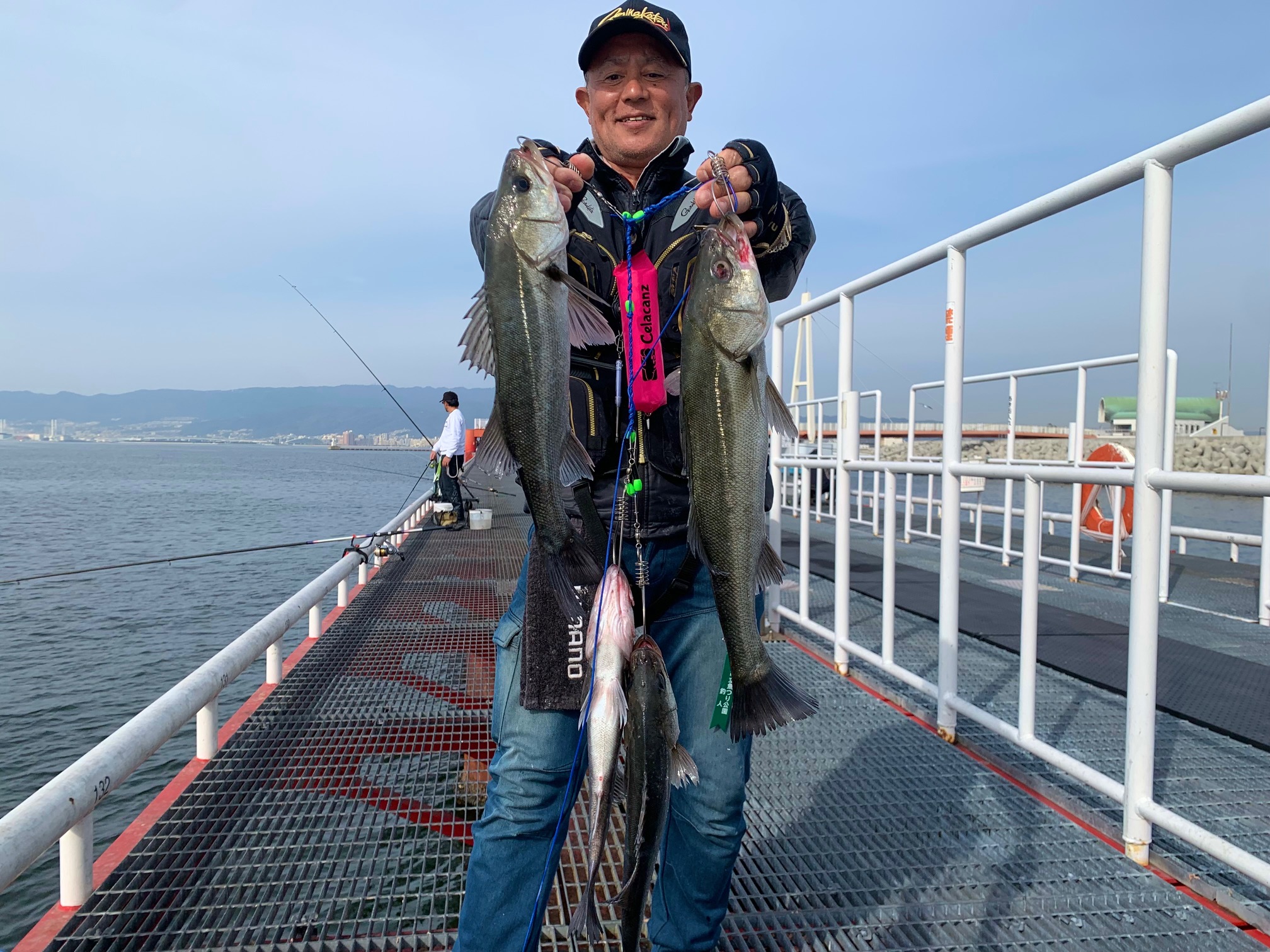 明日まで、掲載です。 最終値下げ！鯉釣りアオ釣りに 2026年1月15