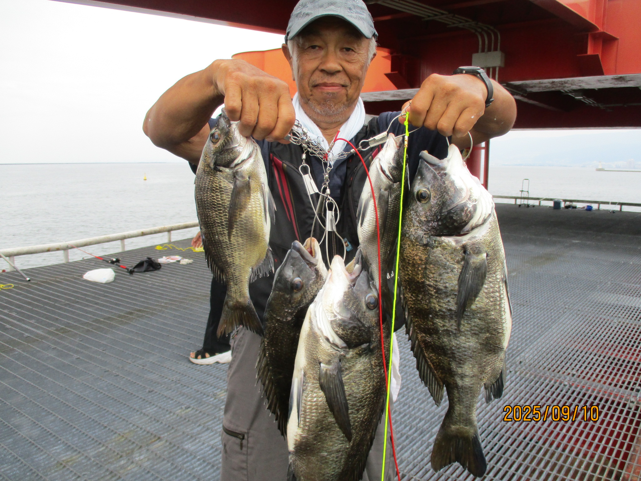 2025年9月10日(水)