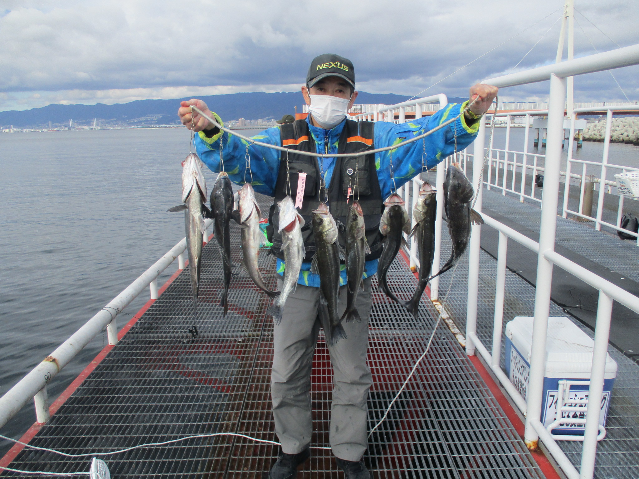 2025年11月19日(水)