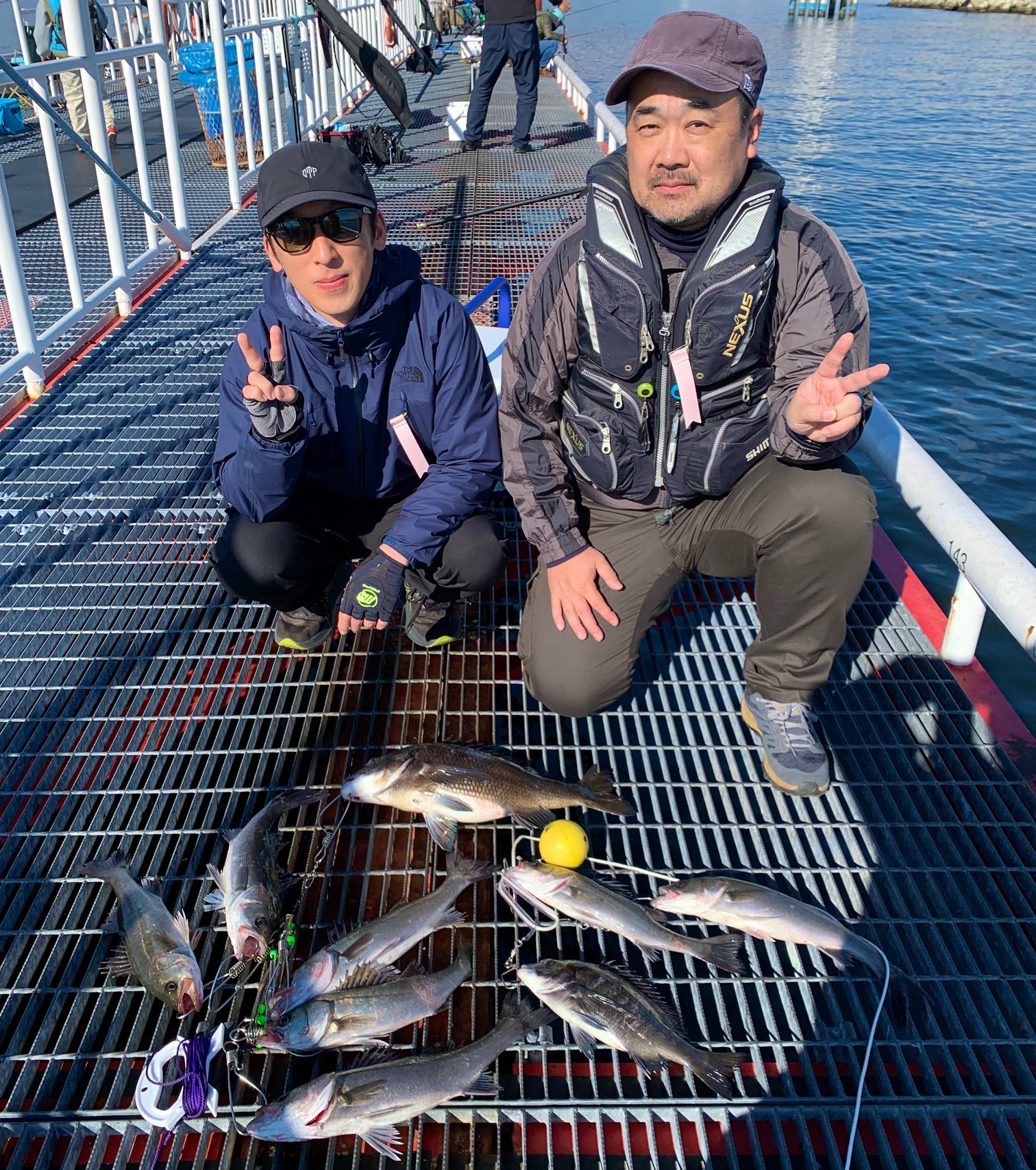 2025年11月29日(土)