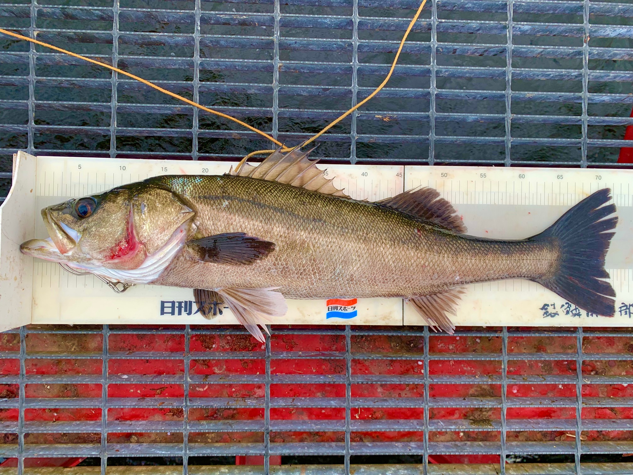 2025年12月3日(水)