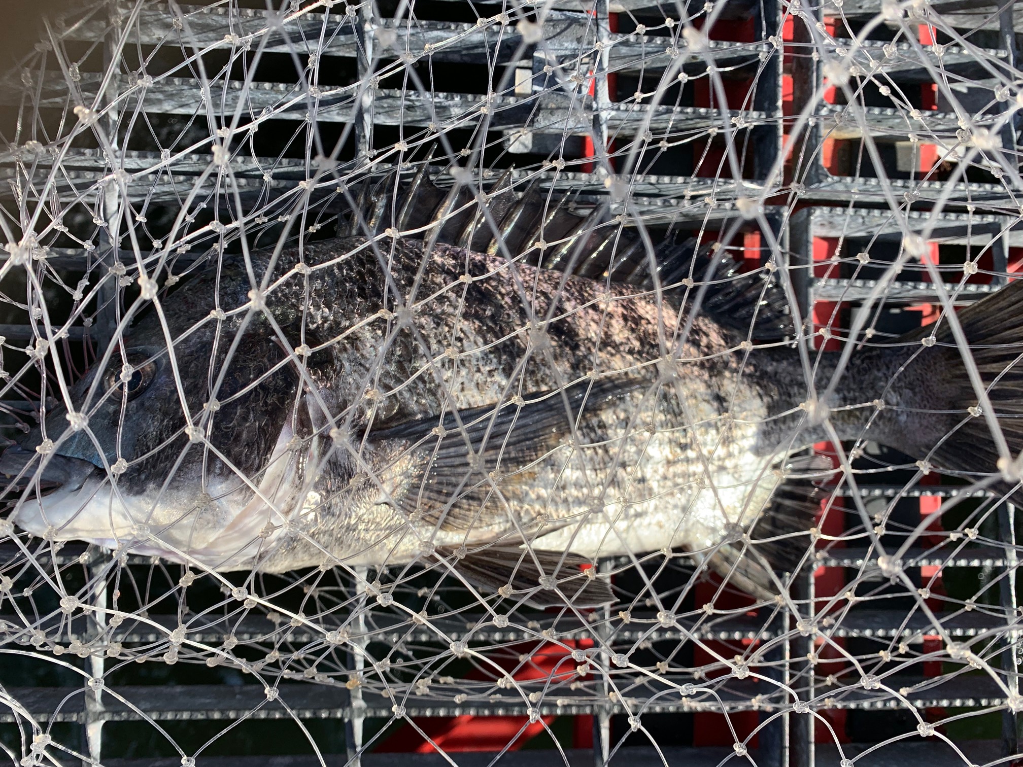 2025年12月5日(金)