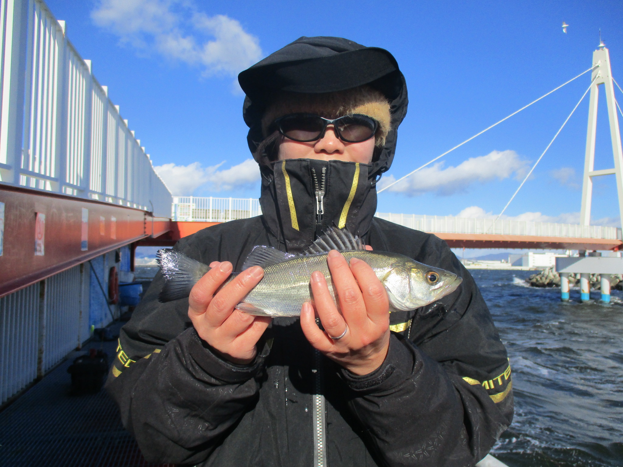 2026年1月11日(日)