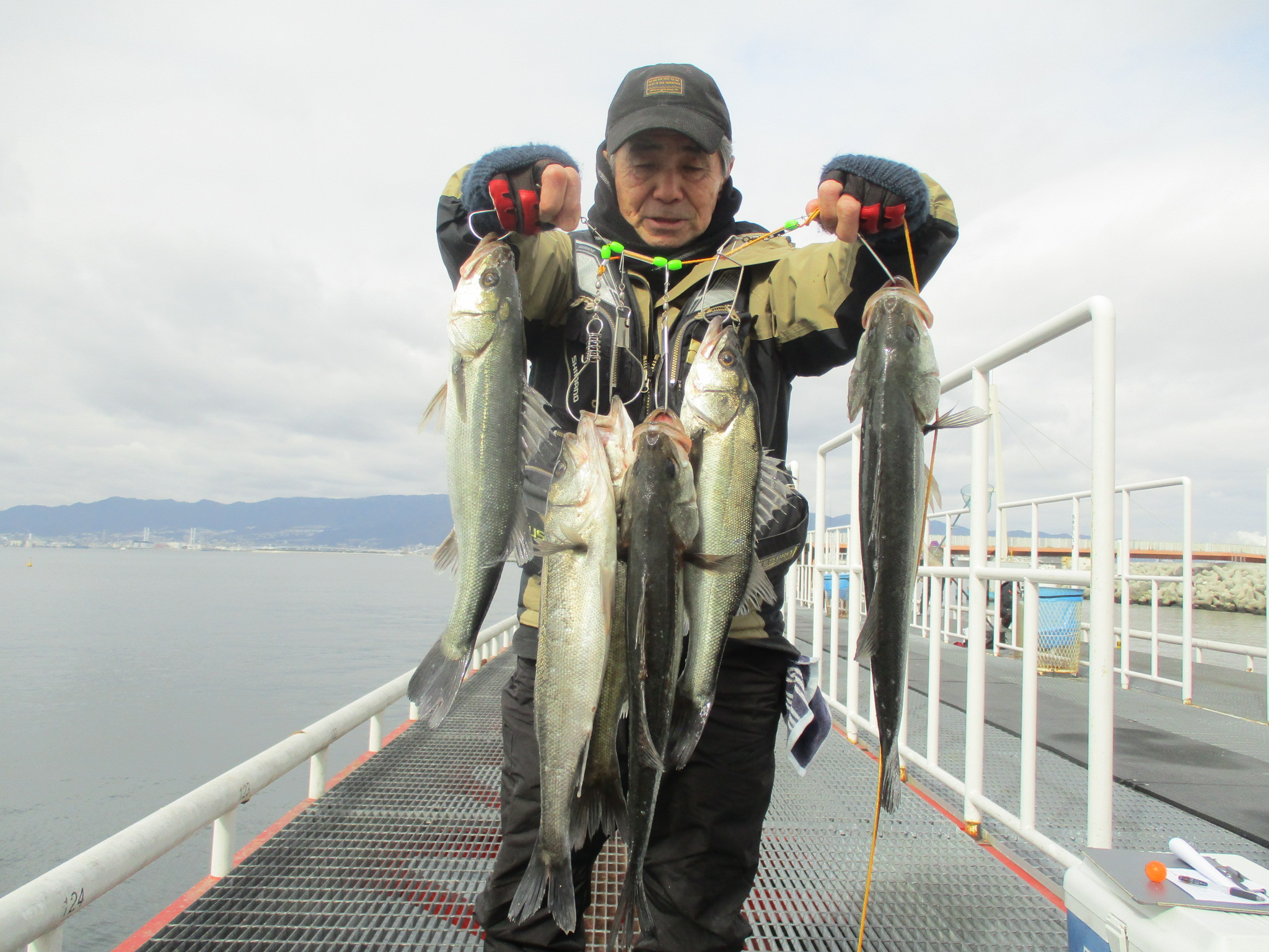 2026年1月26日(月)