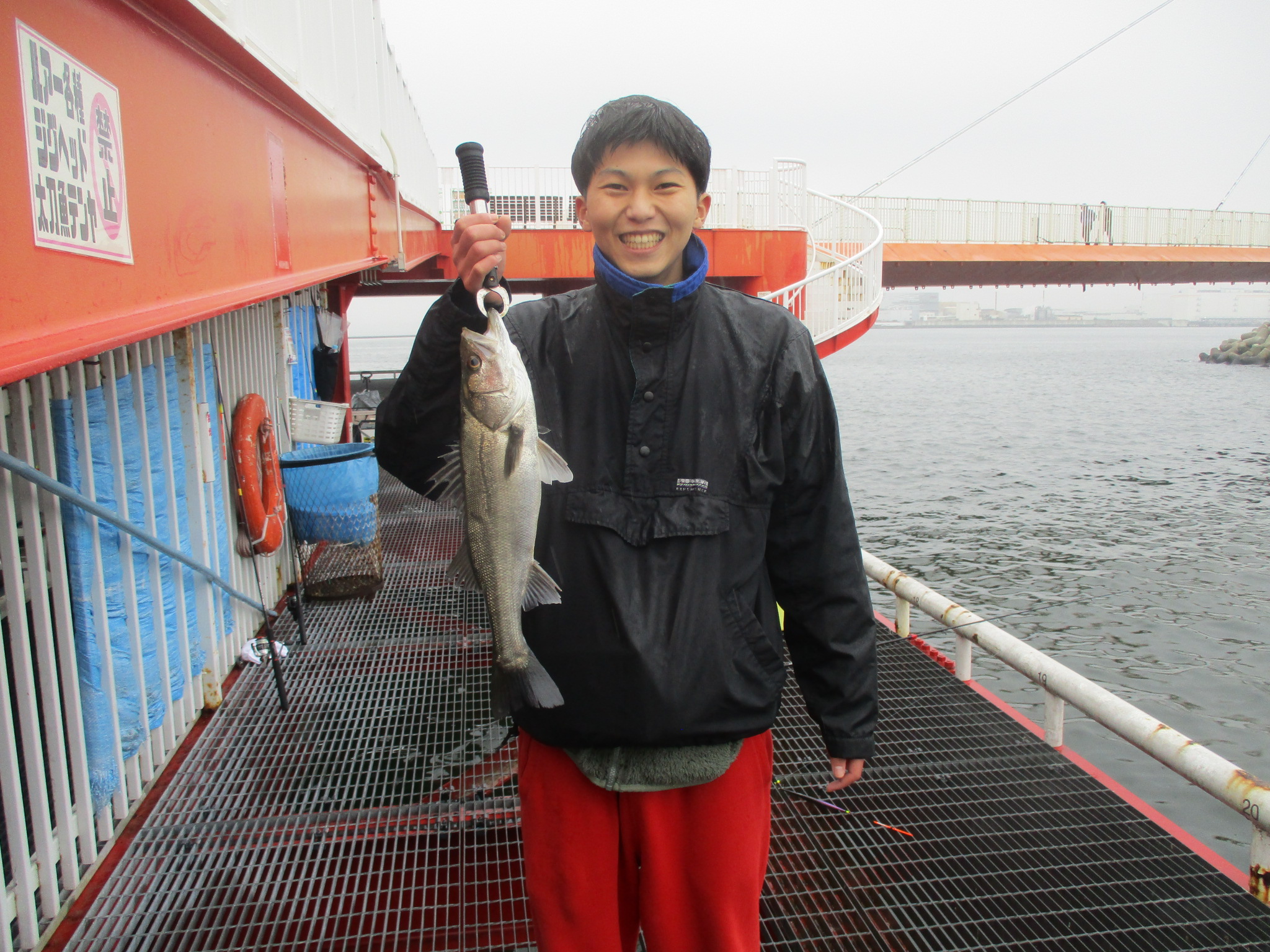 2026年2月11日(水)