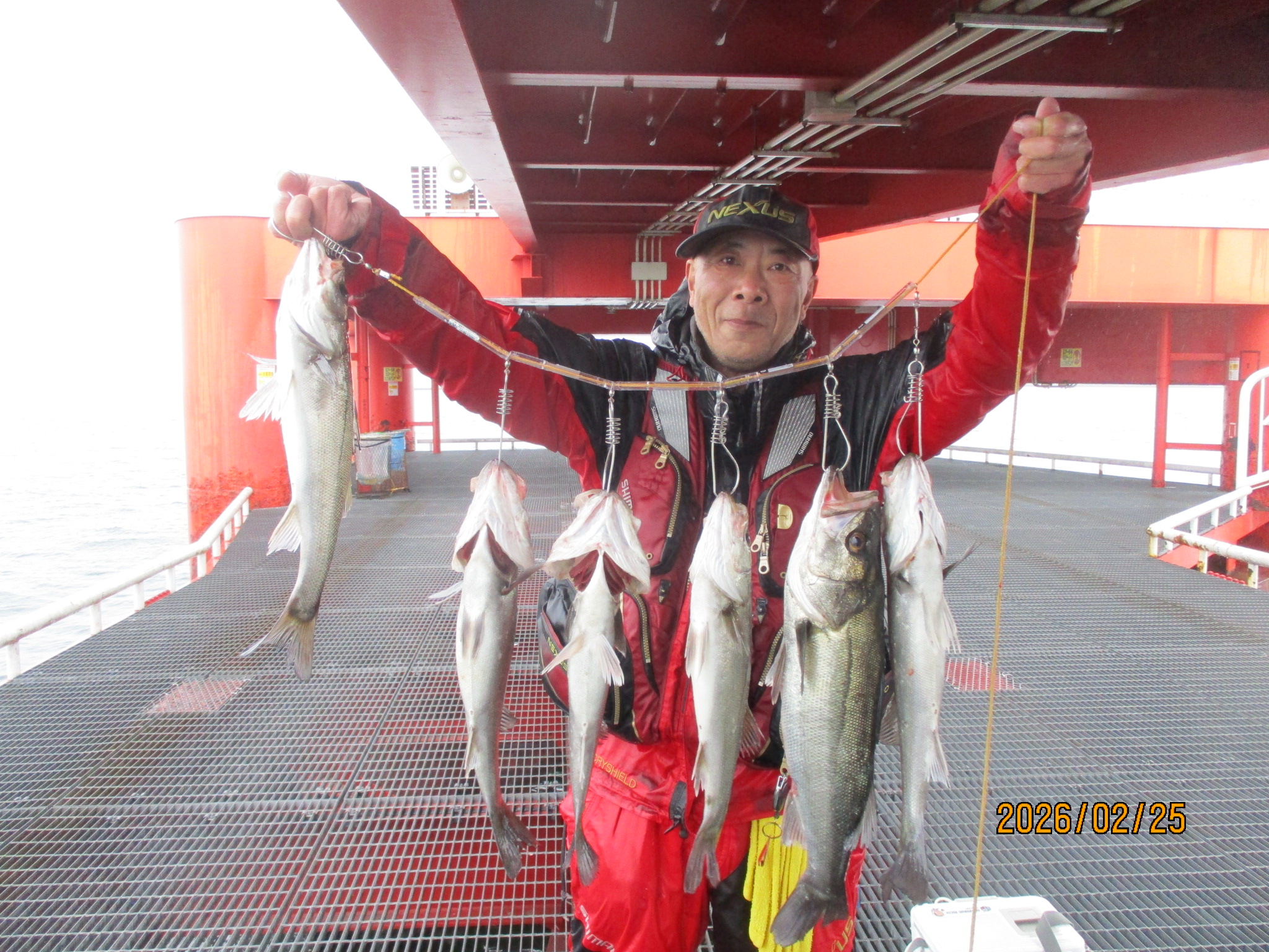 2026年2月25日(水)