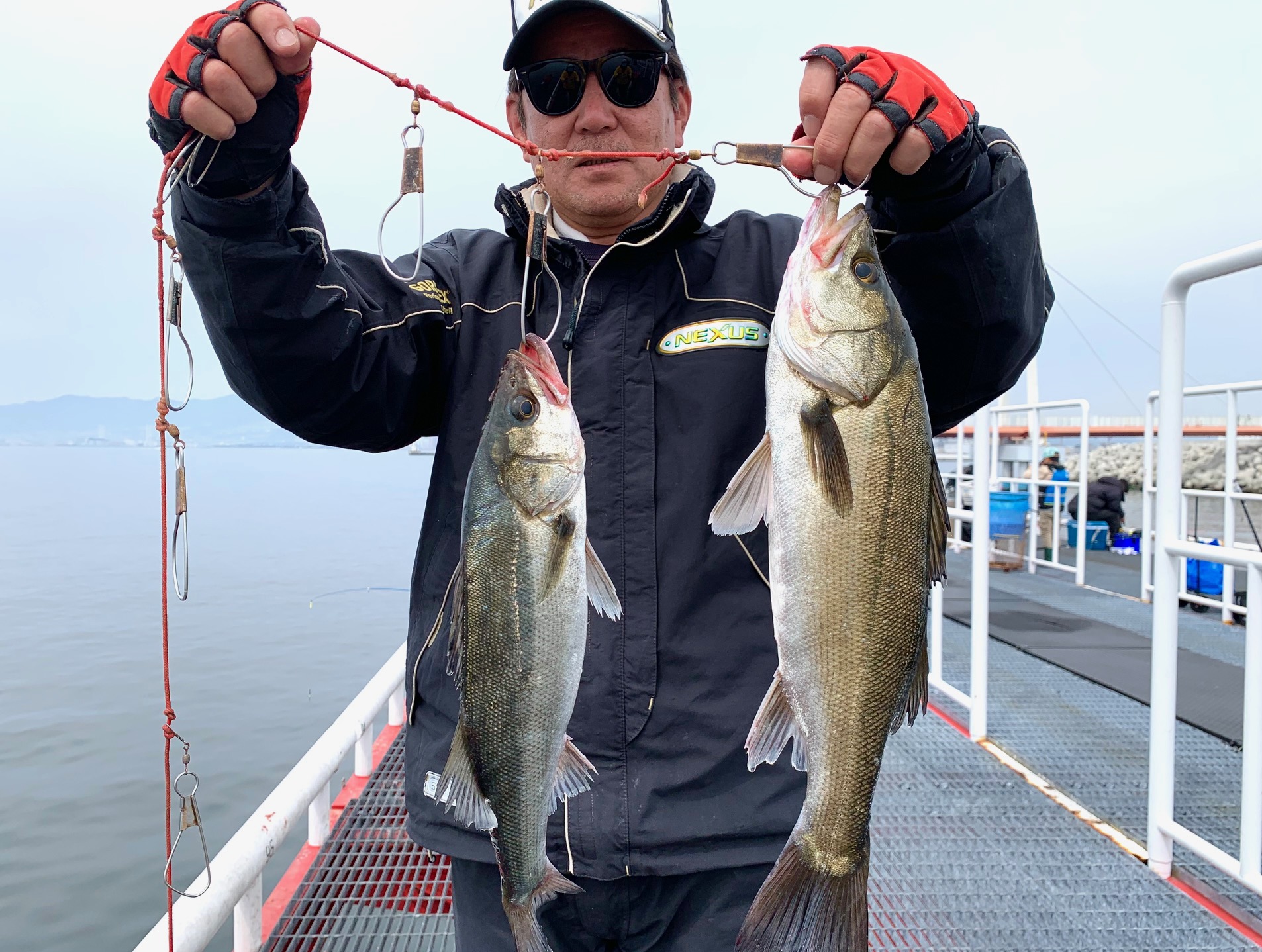 2026年3月22日(日)