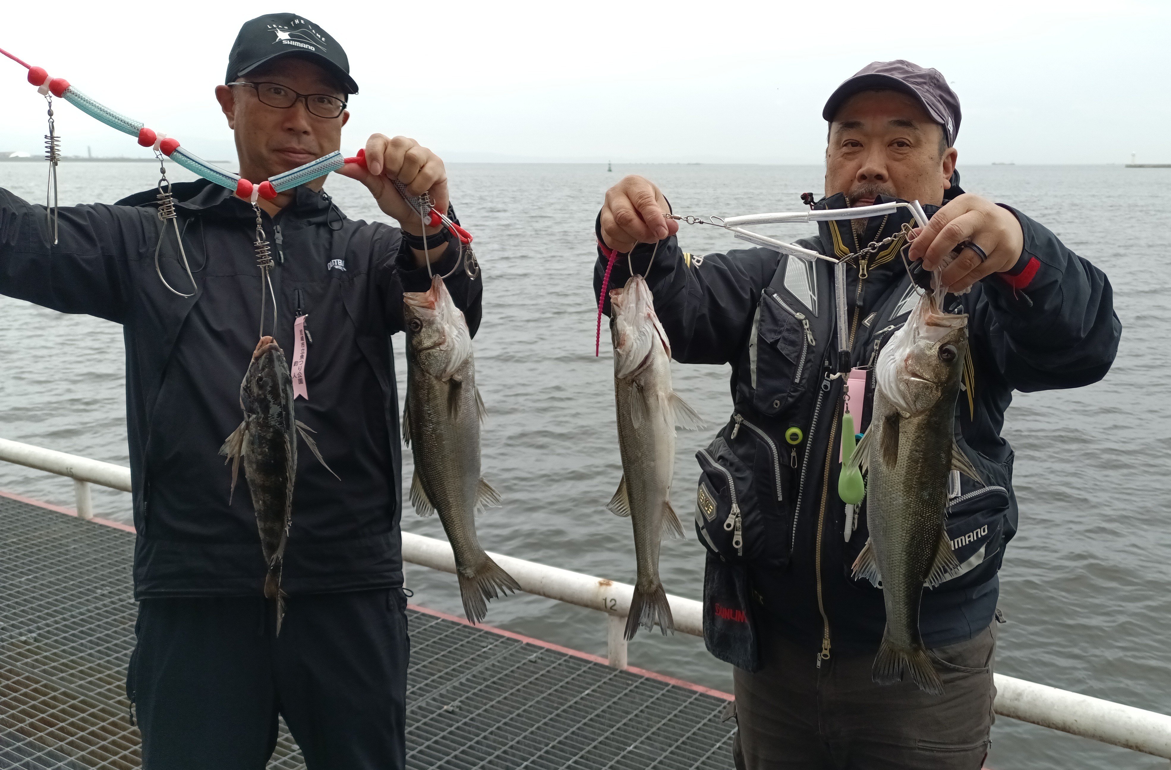 2026年4月4日(土)